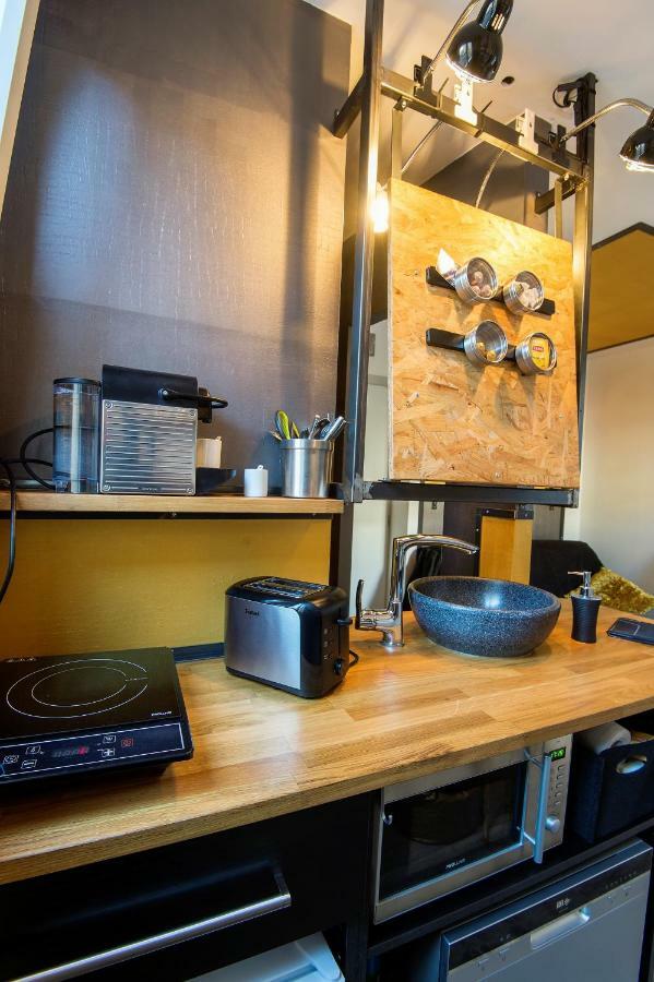 Apartment Ministeel Loft Brotteaux Part-Dieu リヨン エクステリア 写真